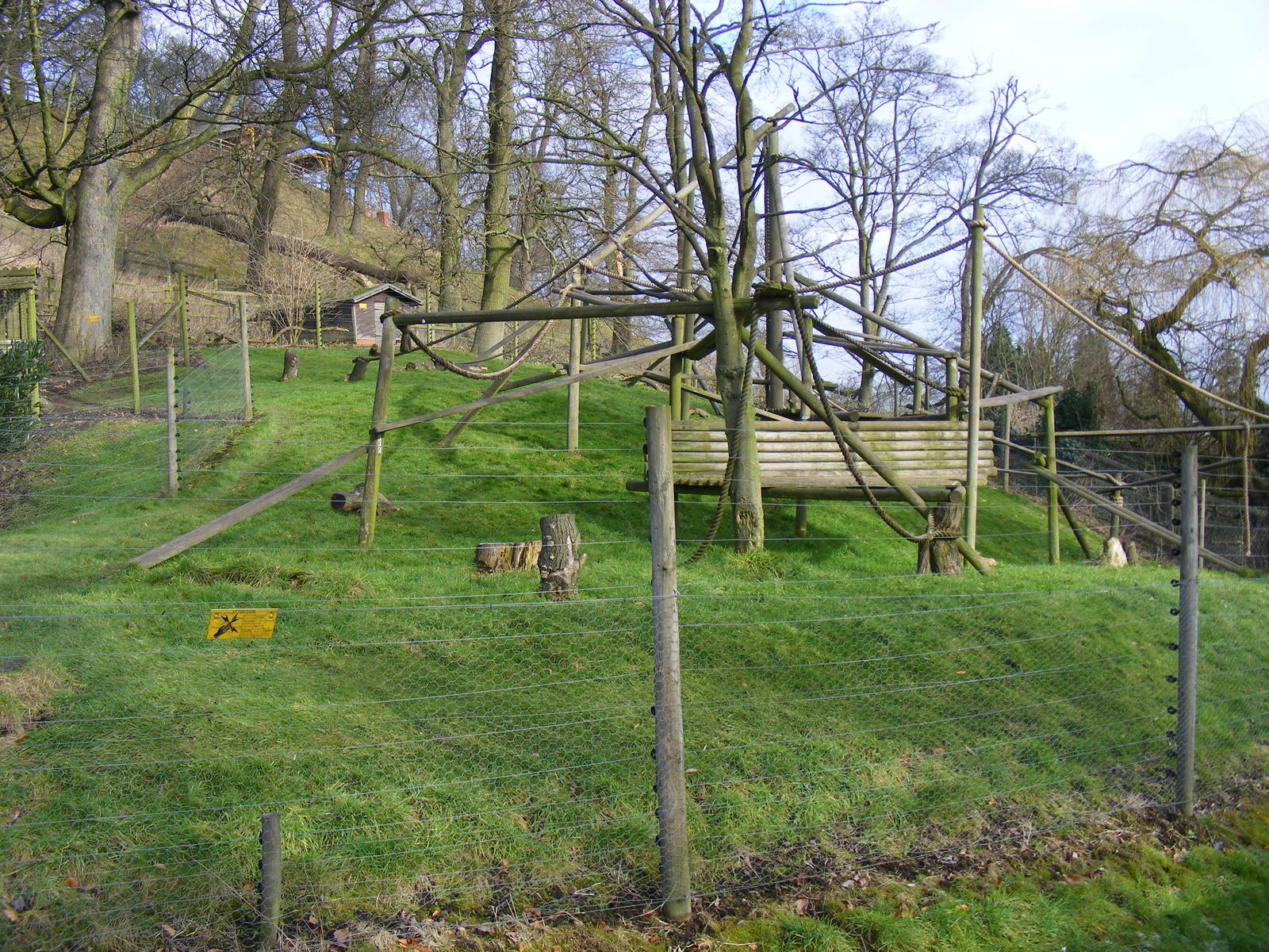 Enclosure for Colombian black spider monkeys at Dudley Zoo, 12 February 201