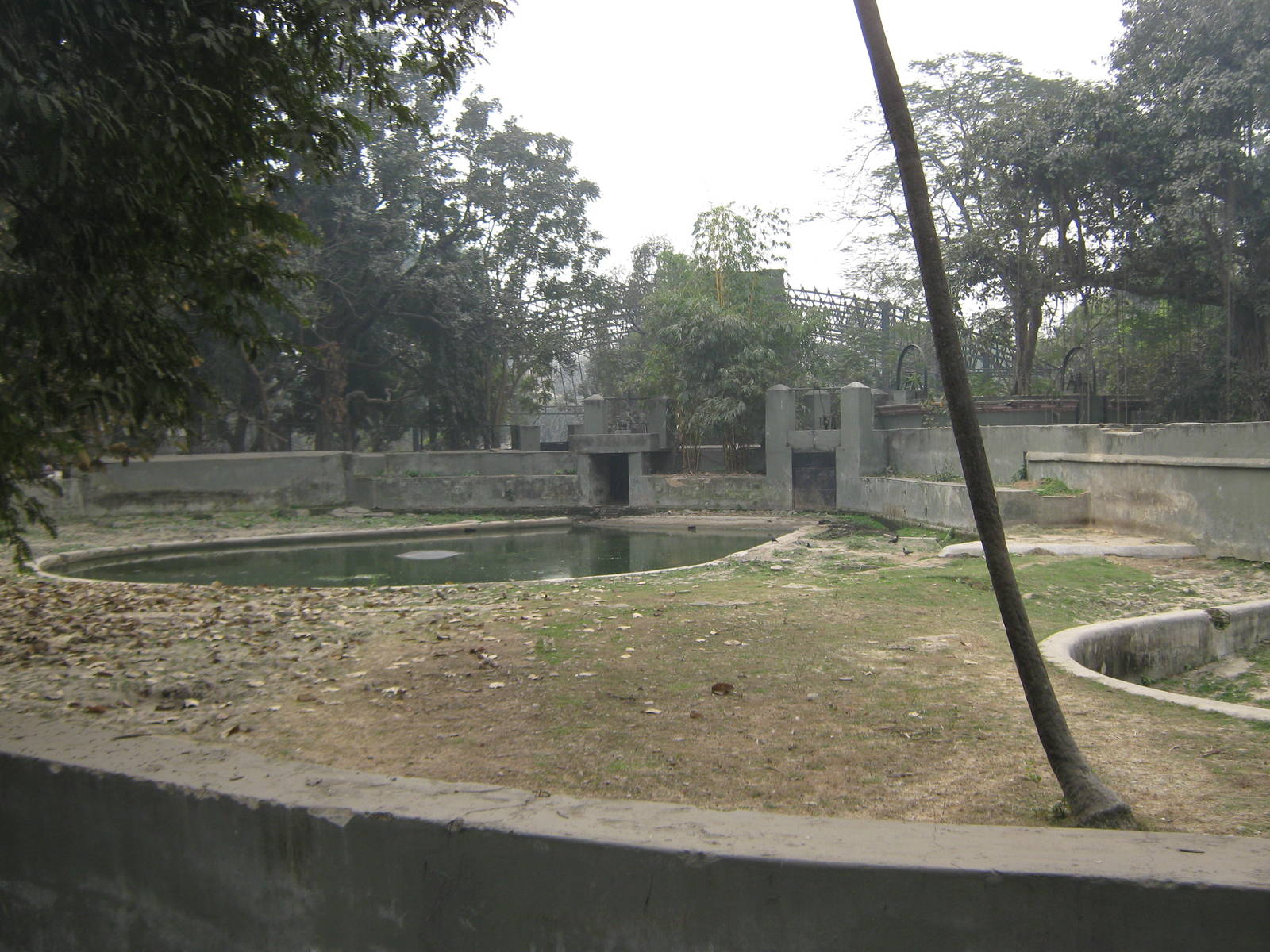 enclosure for common hippos