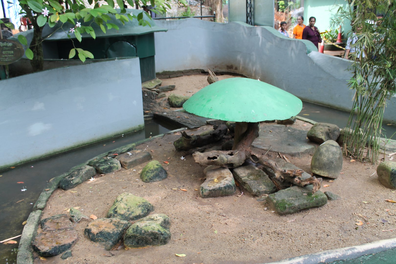 enclosure for Common Otters (Lutra lutra)