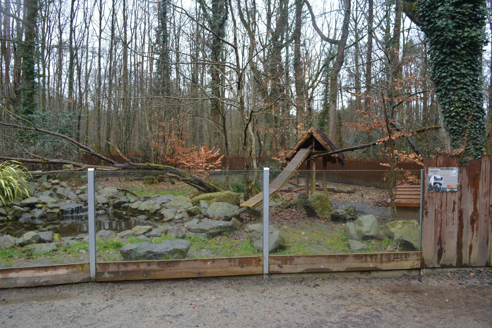 Enclosure for common racoons