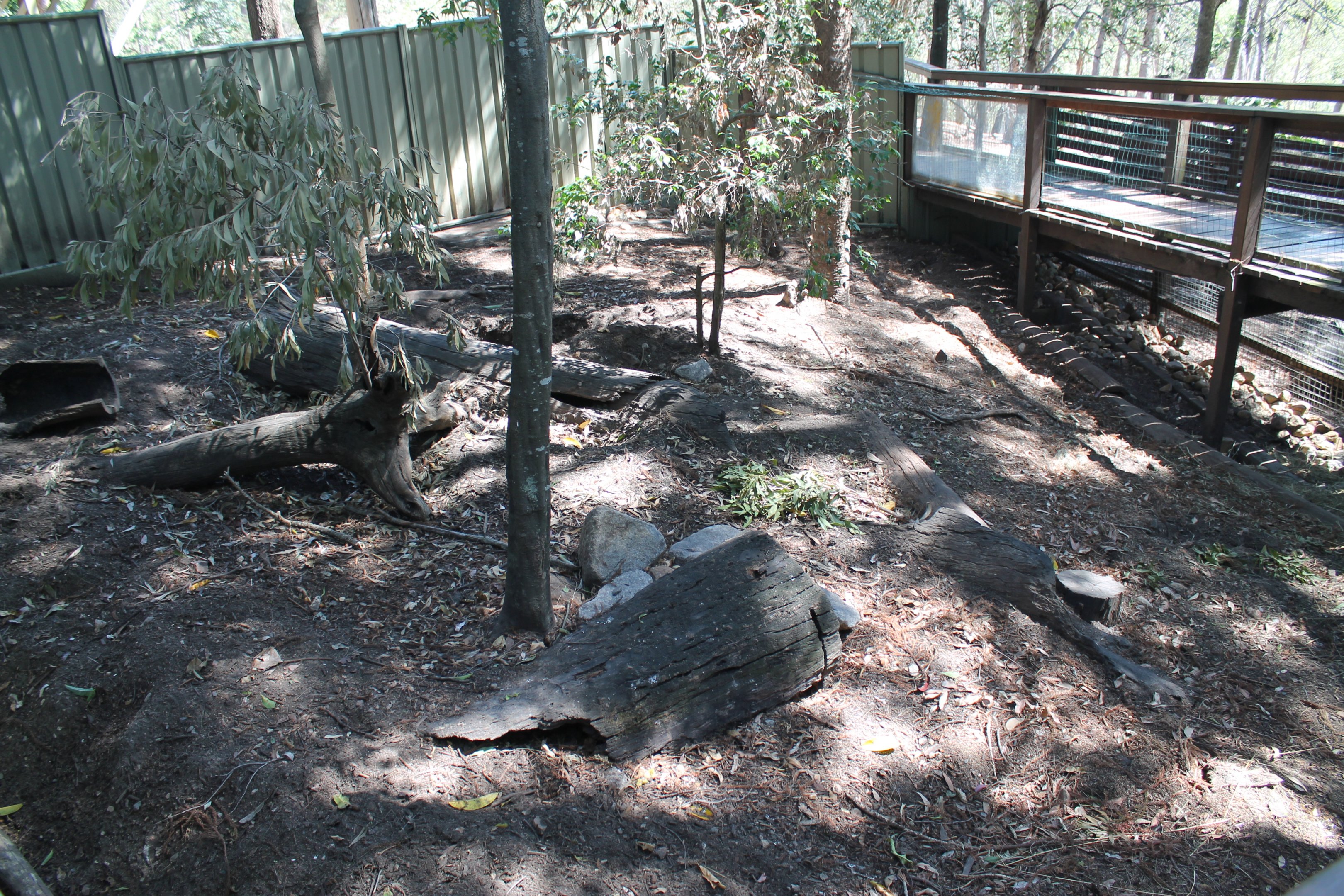 enclosure for Common Wombat (Vombatus ursinus)