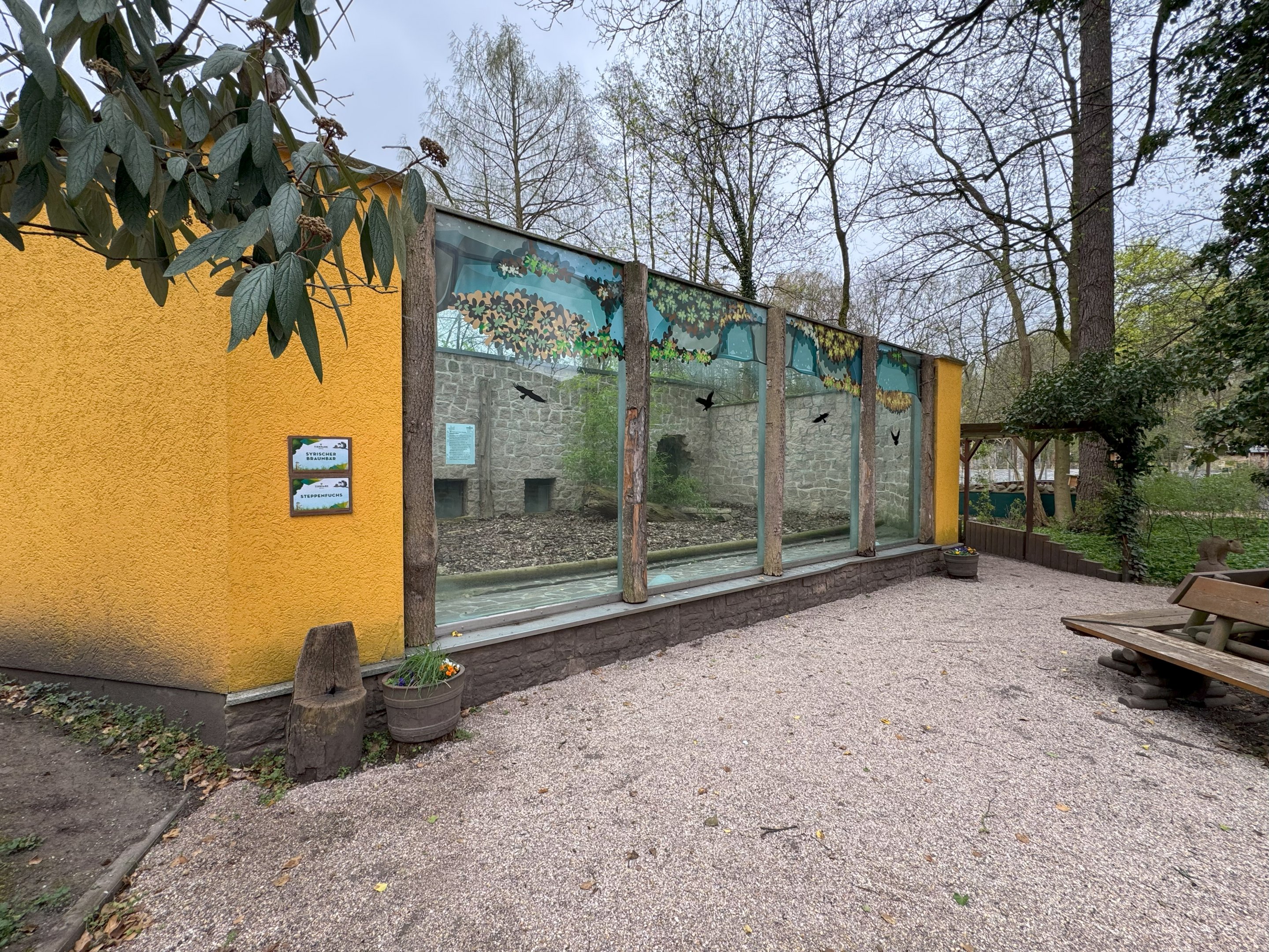 Enclosure for Corsac fox (Vulpes corsac)