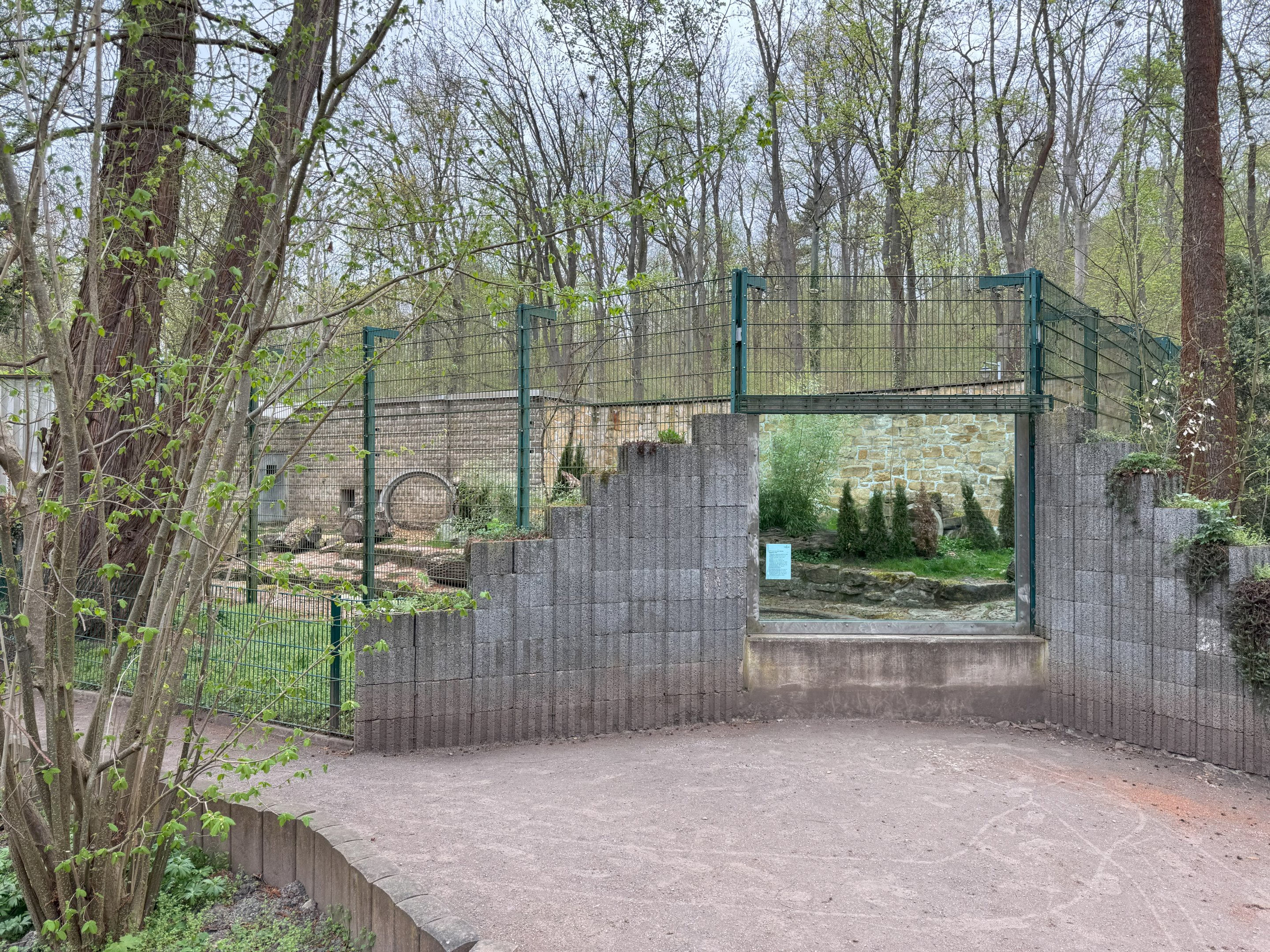 Enclosure for Corsac fox (Vulpes corsac)
