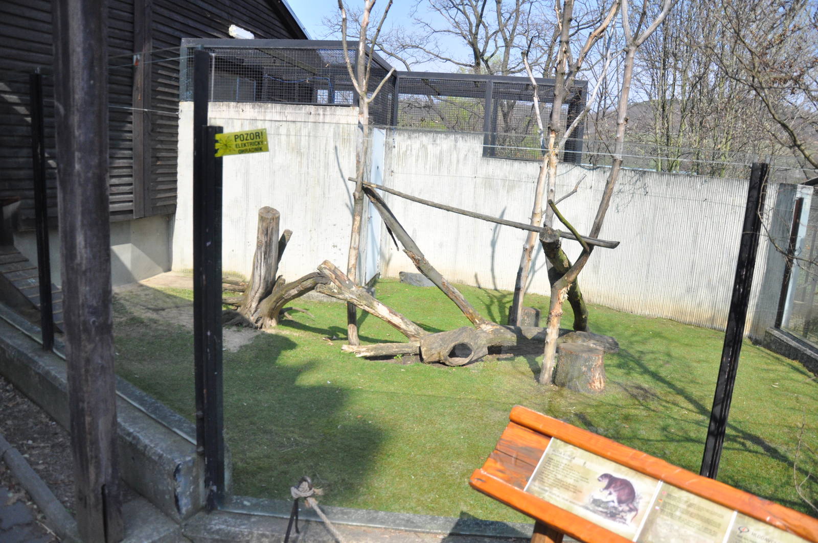Enclosure for cubian hutias (Capromys pilorides)