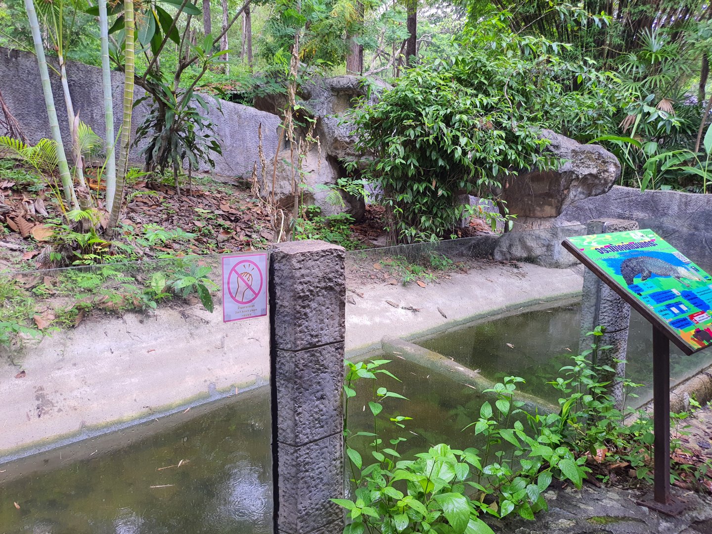 Enclosure for Cuvier's Dwarf Caiman