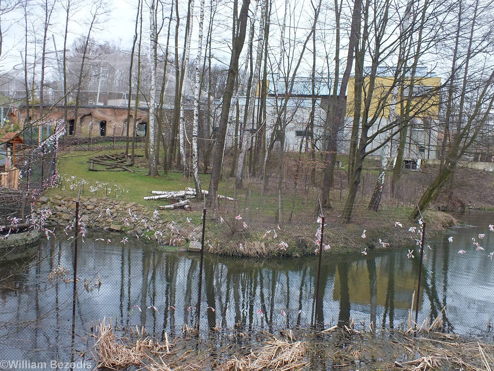 Enclosure for Diana Monkeys