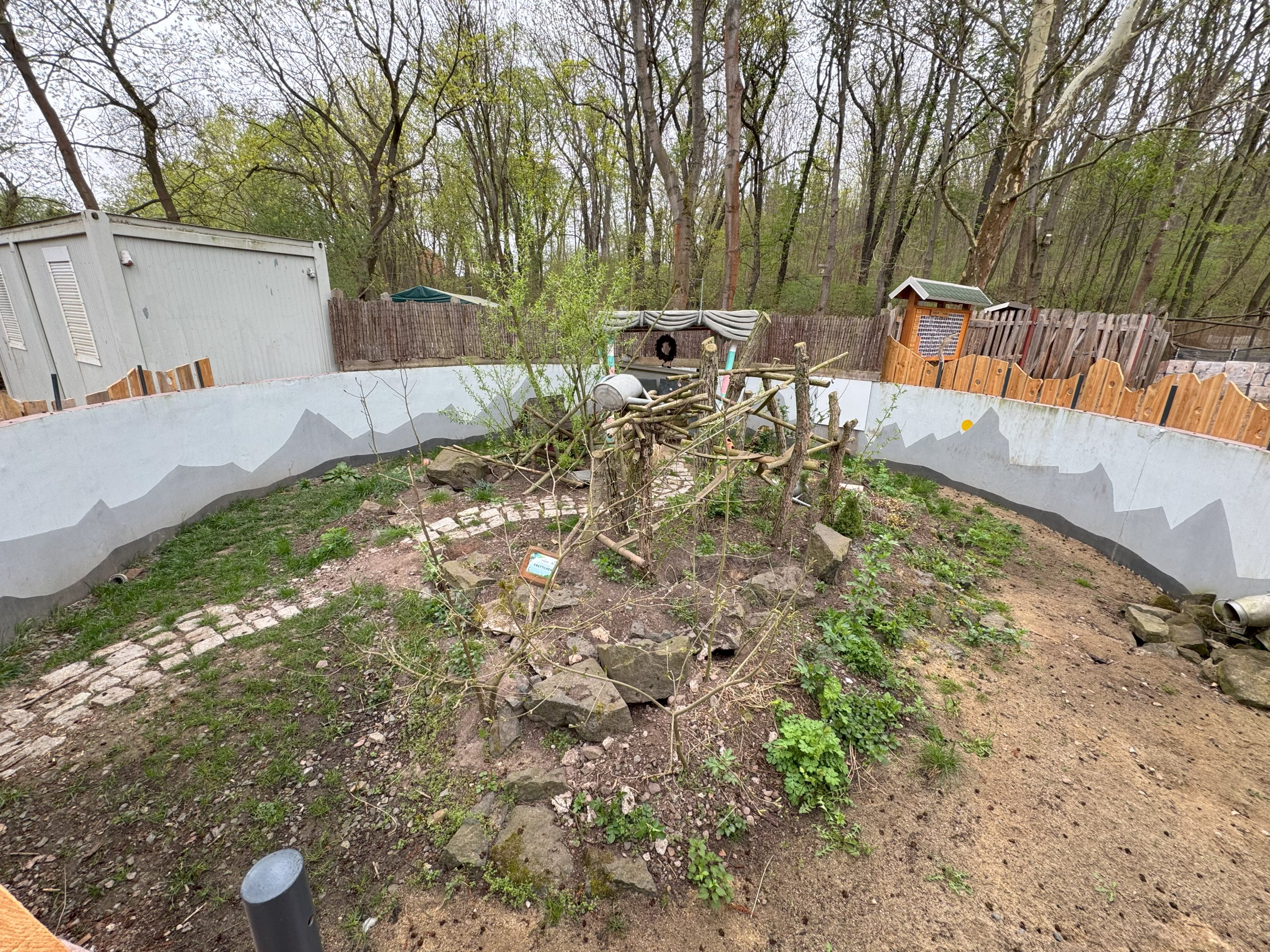 Enclosure for domestic ferret (Mustela putorius f. furo)