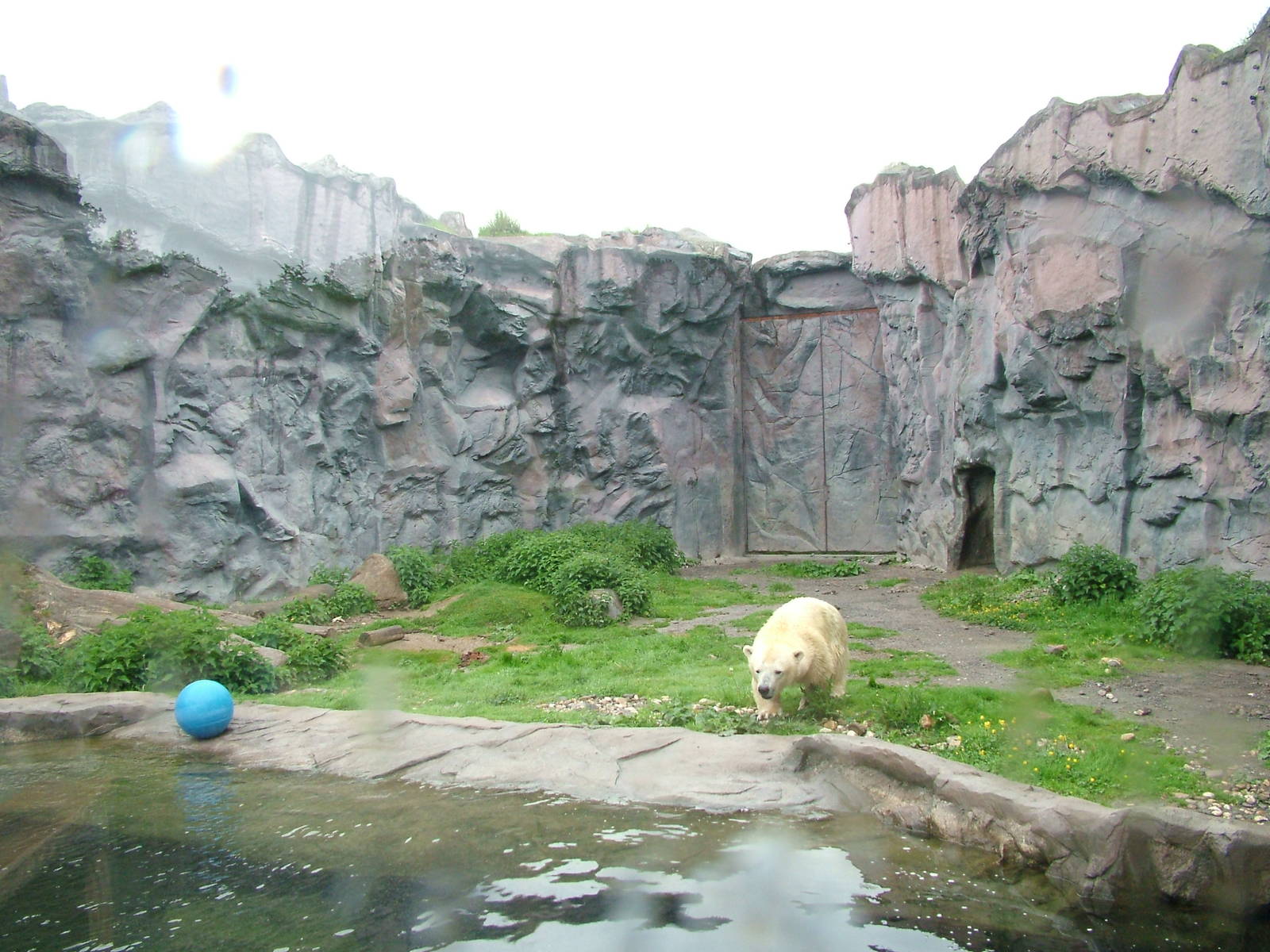 Enclosure for dwarf Polar Bear Antonia at ZOOM 11/05/09