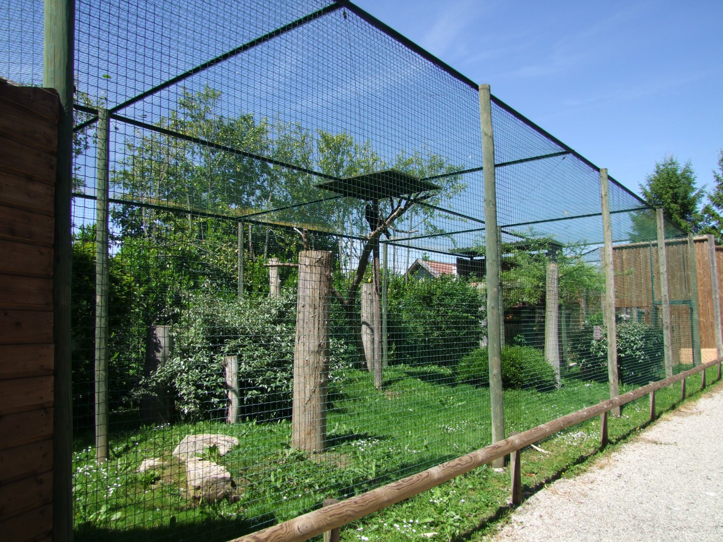 Enclosure for eagles
