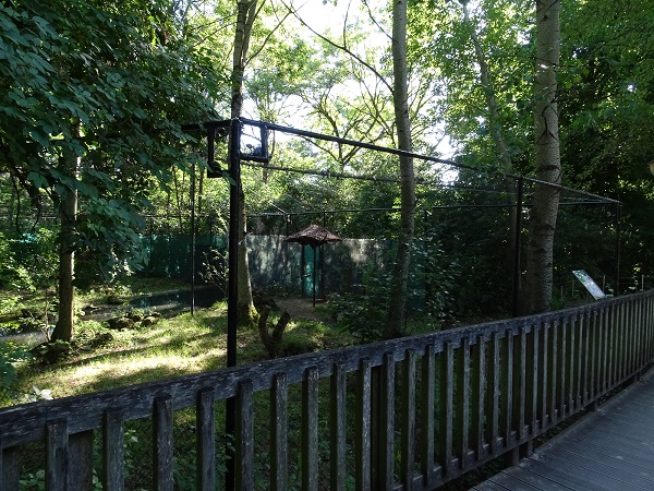 Enclosure for ed-crowned crane (07/22)