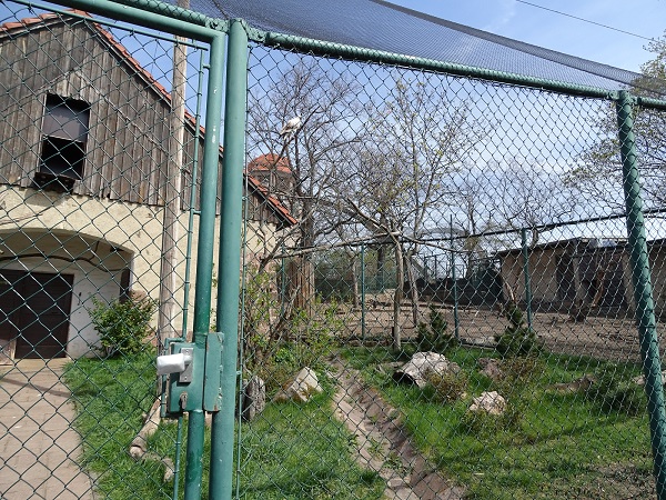 Enclosure for Egyptian vultures