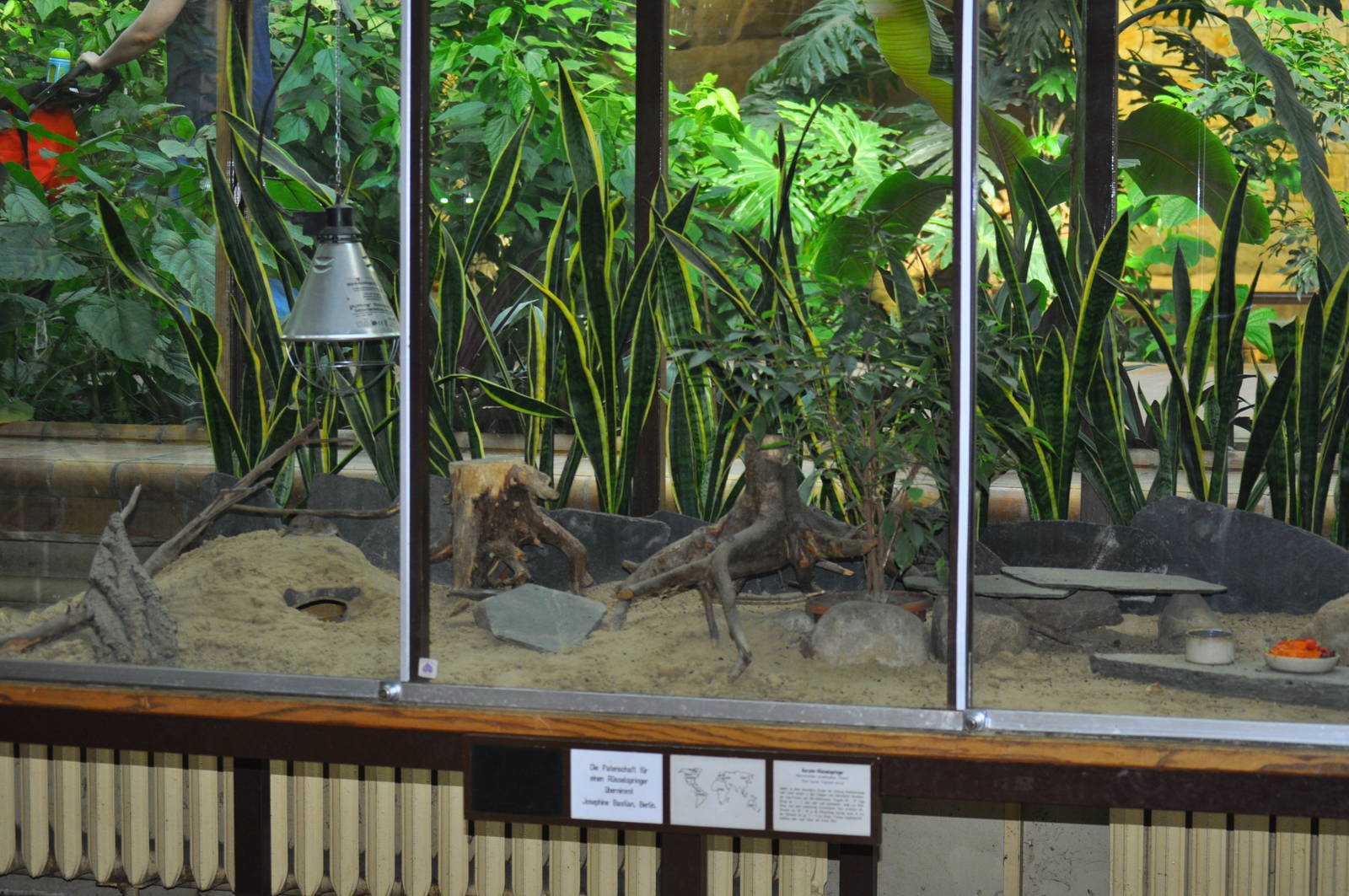 Enclosure for elephant shrews