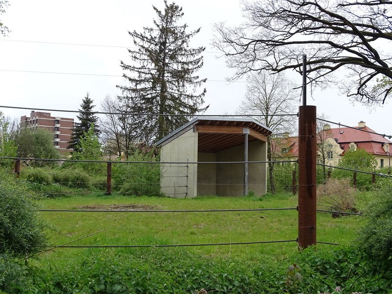 Enclosure for elephants