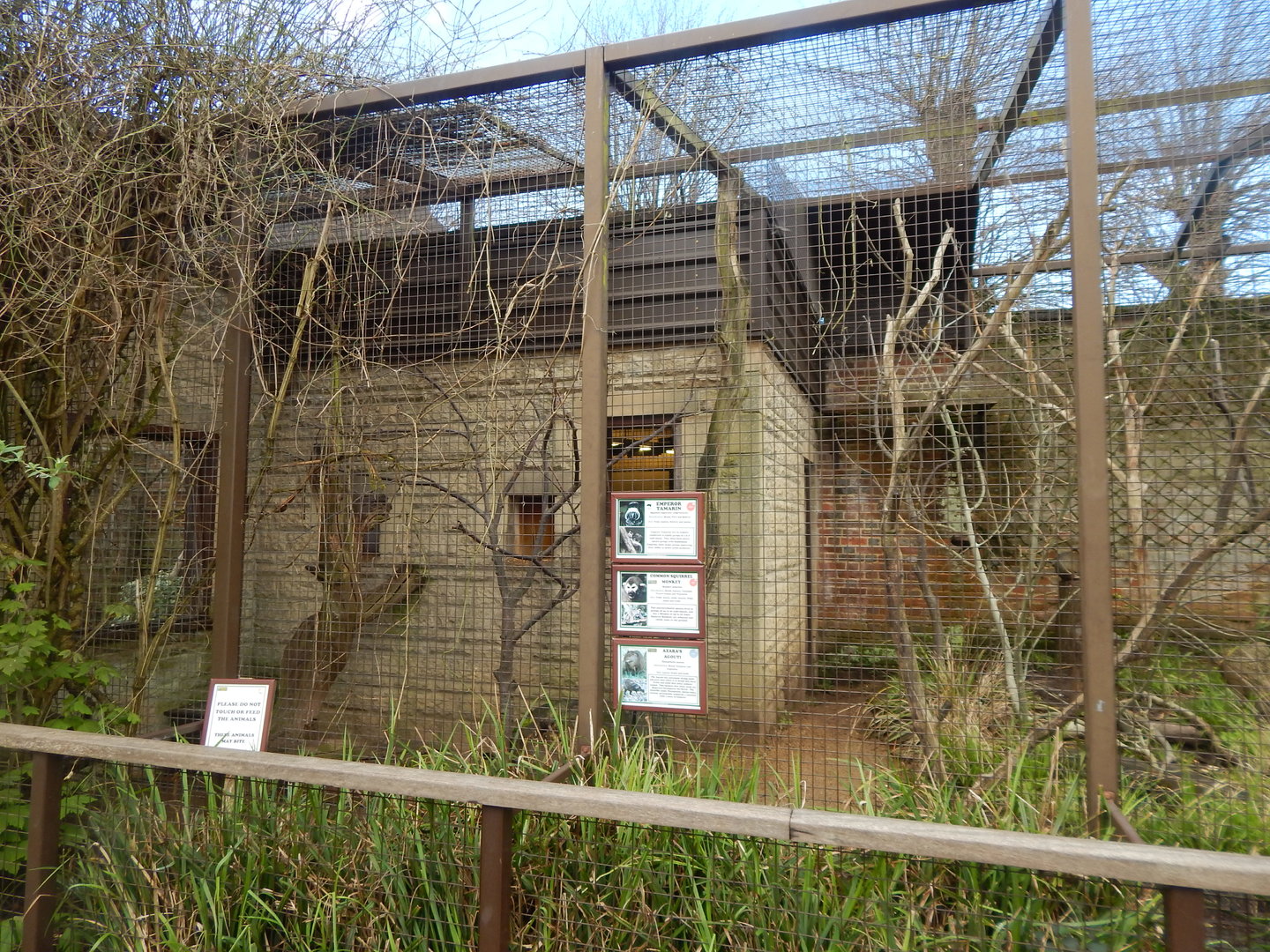 Enclosure for Emperor tamarin, Common squirrel monkey and Azara's agouti 280423