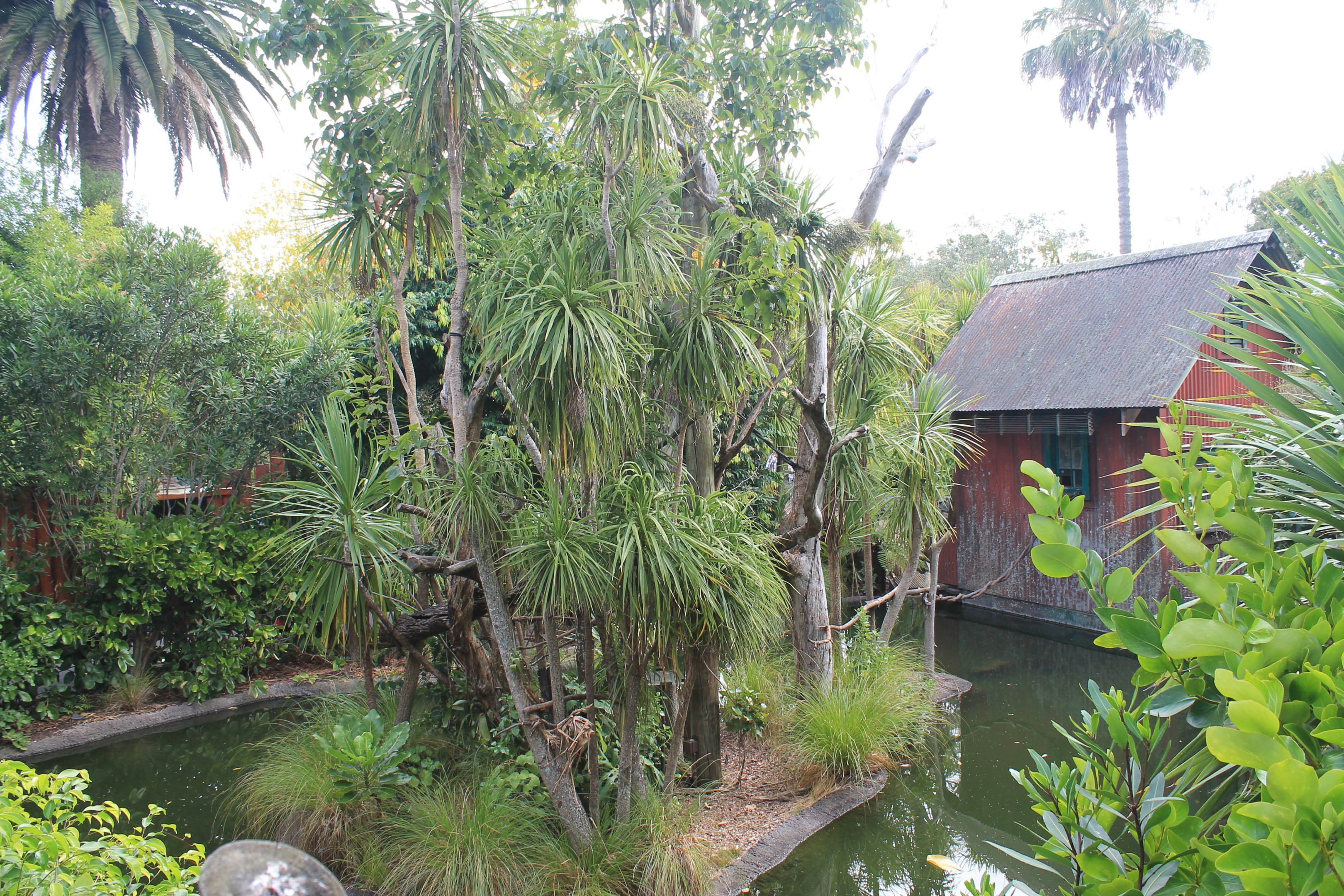 enclosure for Emperor Tamarins