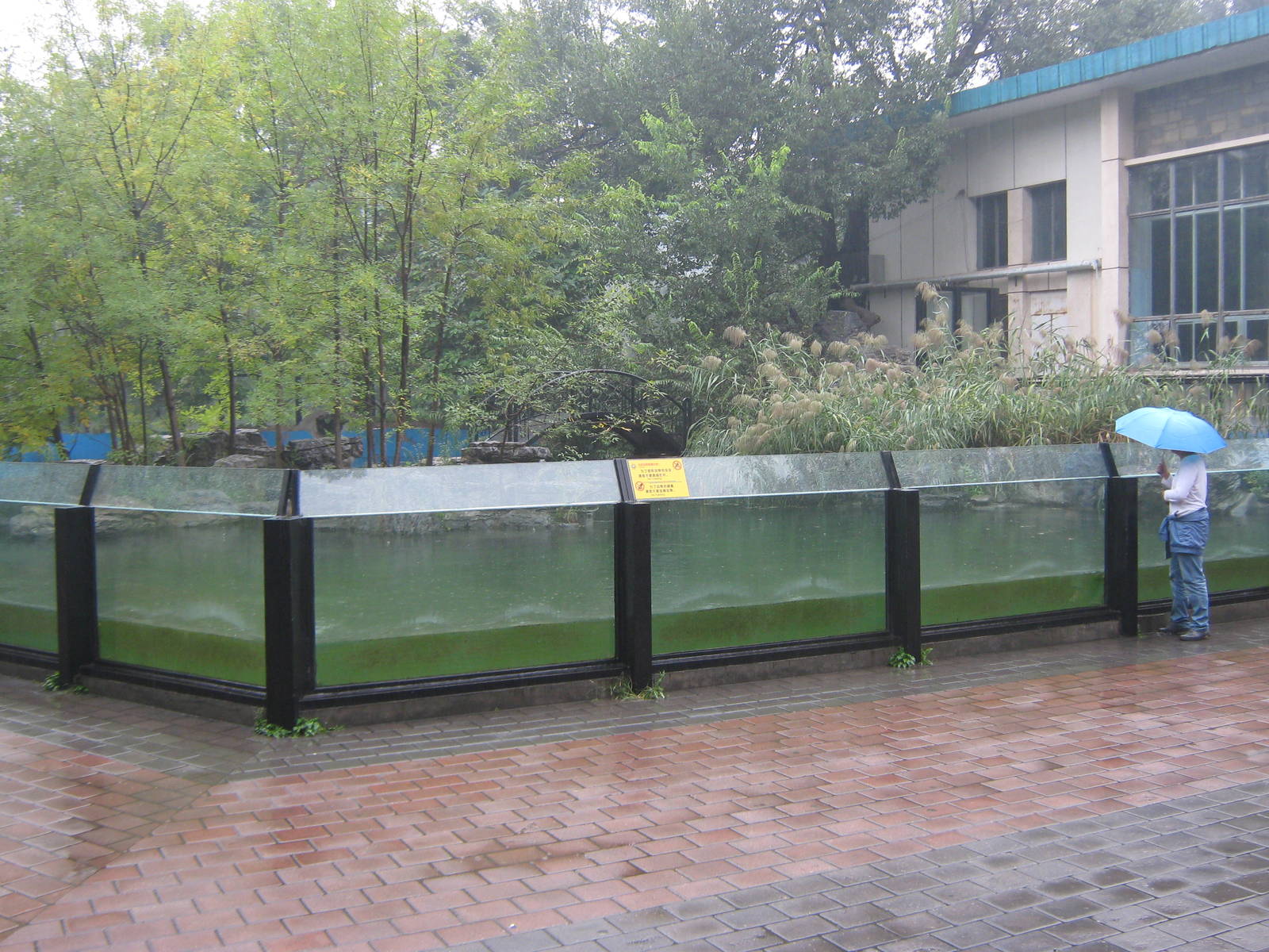 enclosure for Eurasian common otters (Lutra lutra)
