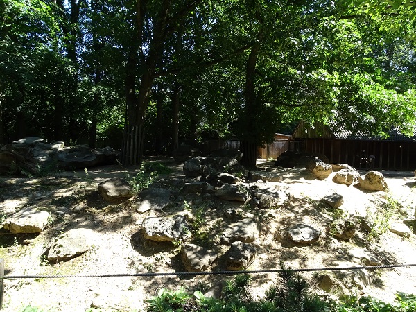Enclosure for Eurasian forest reindeer (07/22)