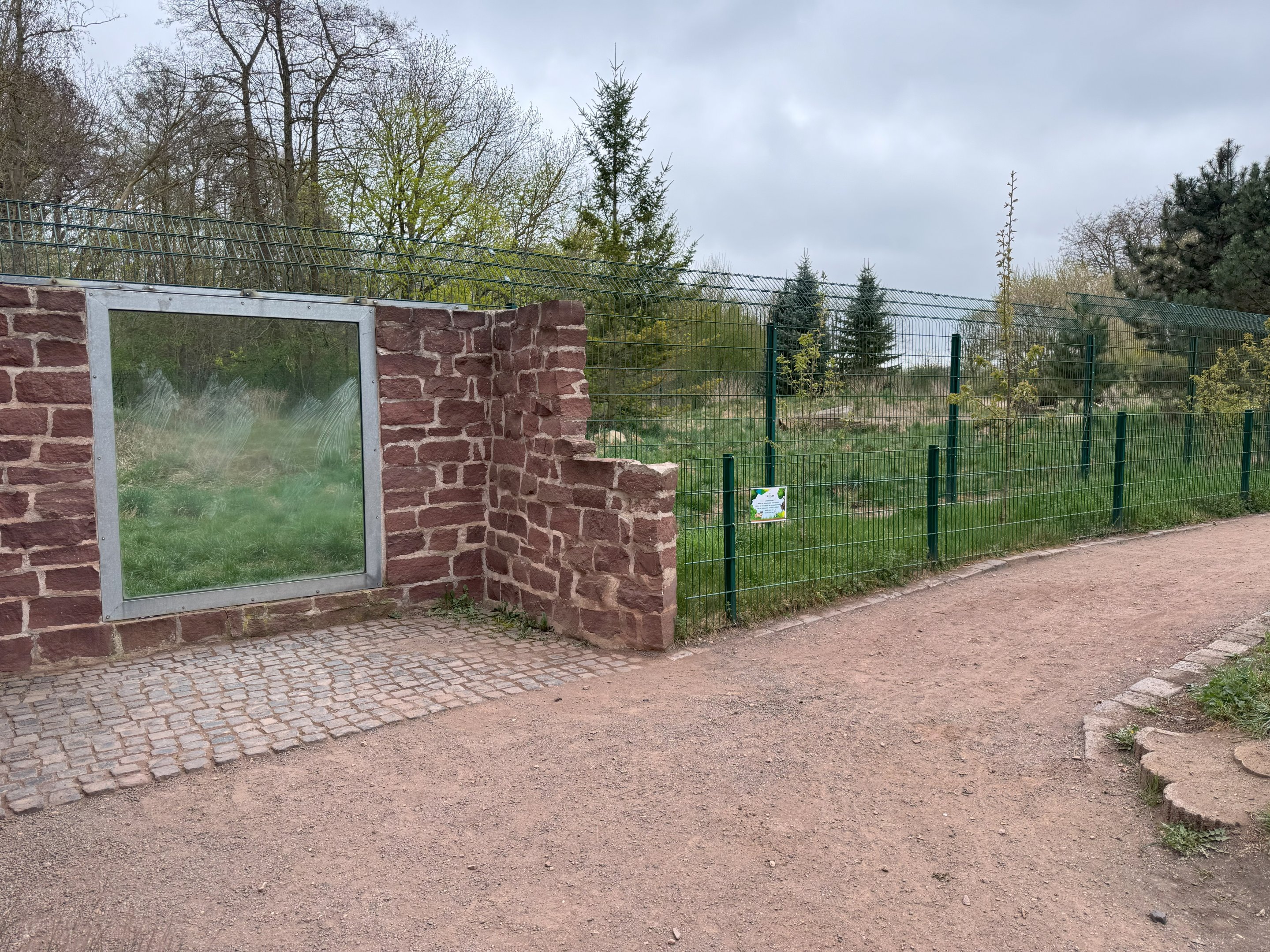 Enclosure for Eurasian wolf (Canis lupus lupus)