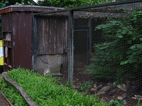Enclosure for European badger (07/22)