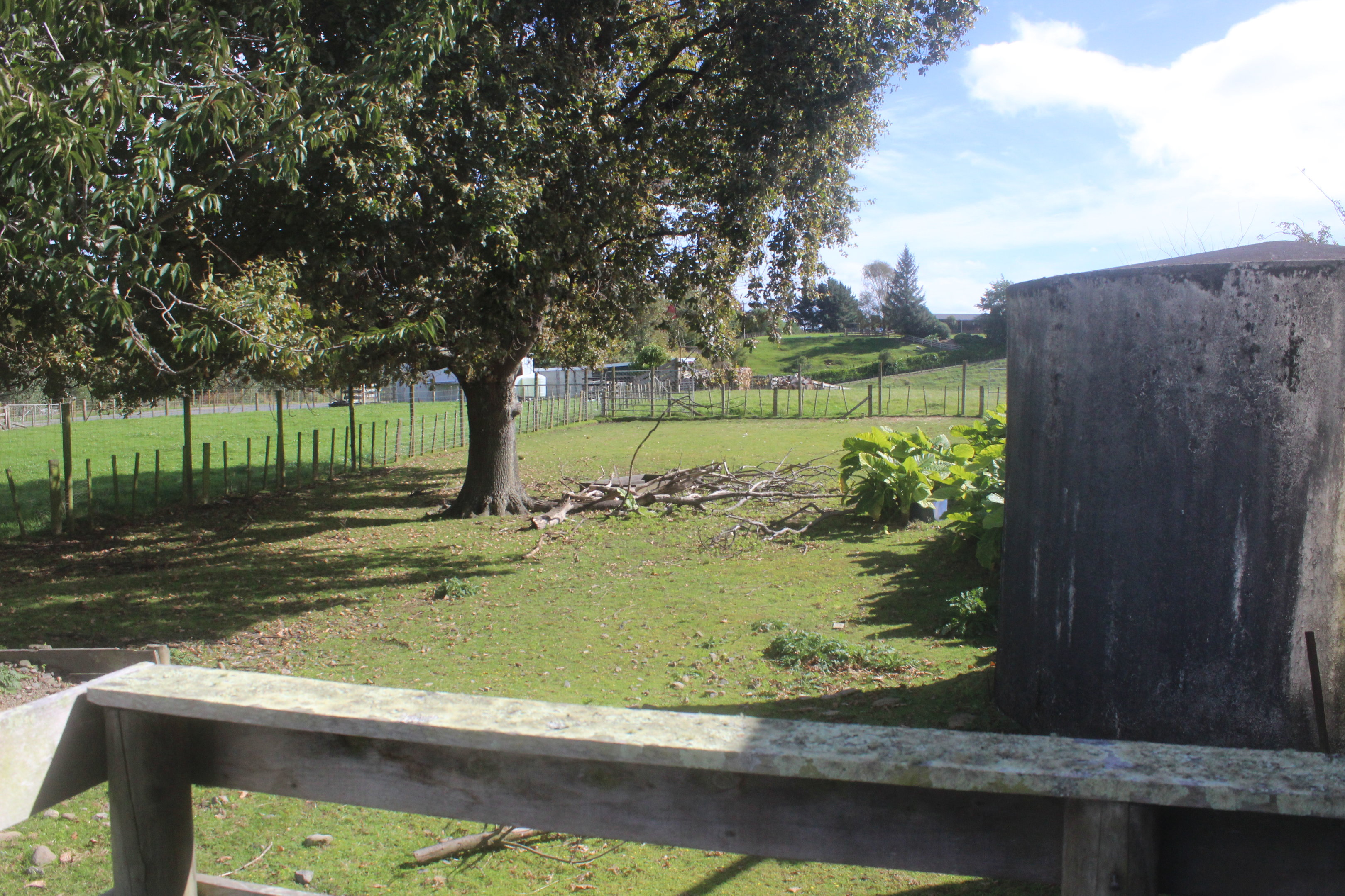 Enclosure for European Fallow Deer, The Deer Story Museum & Café