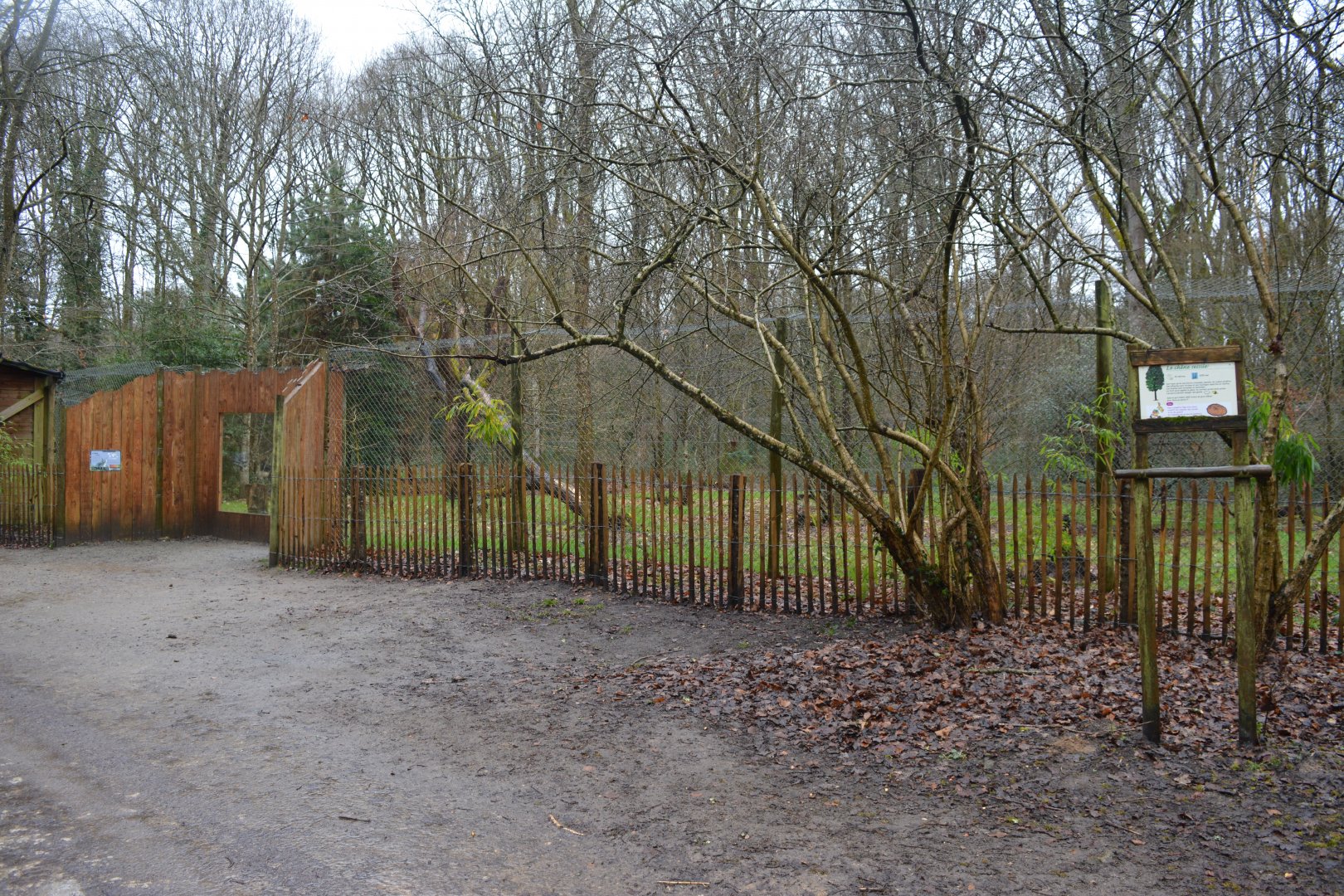 Enclosure for european lynx