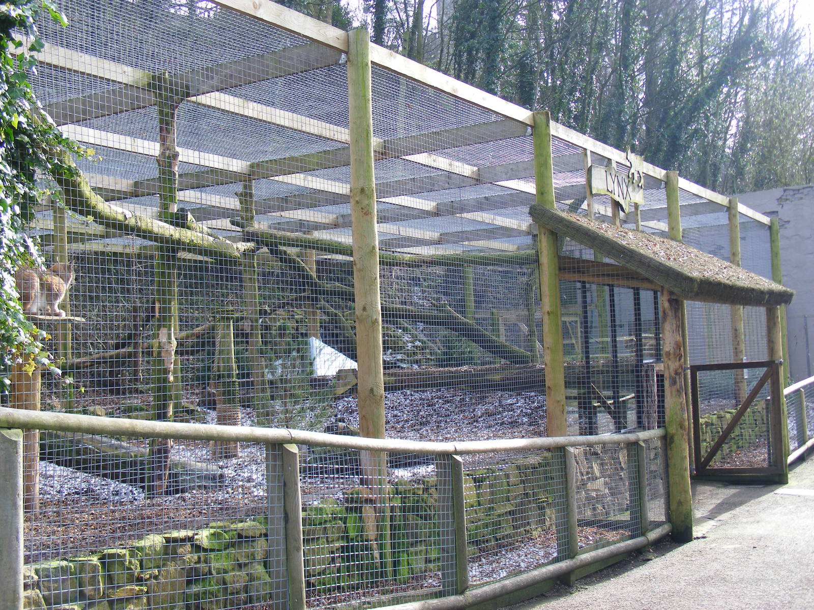 Enclosure for European lynxes at Dudley Zoo, 12 February 2010