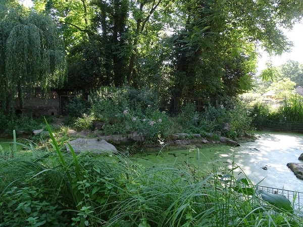 Enclosure for European otters (07/22)