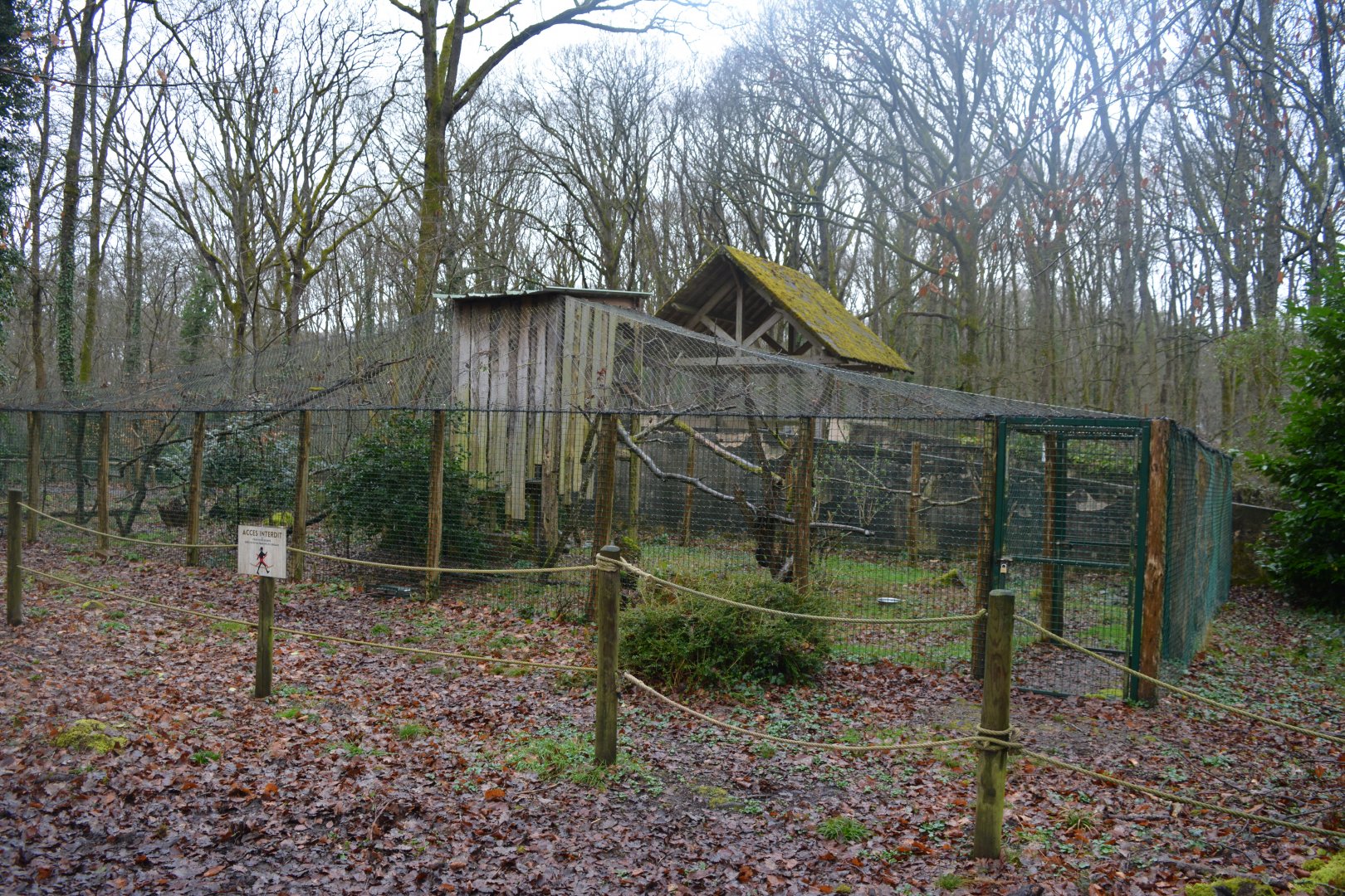 Enclosure for european wildcats