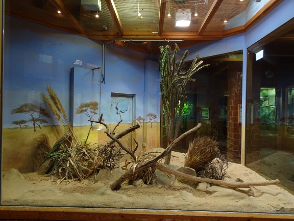 Enclosure for fat sand rats (07/22)