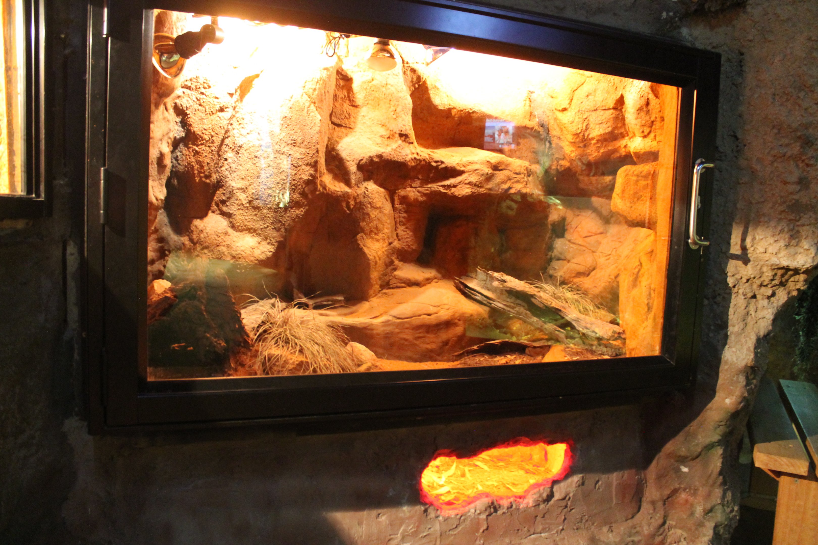 enclosure for Fat-tailed Dunnarts (Sminthopsis crassicaudata)