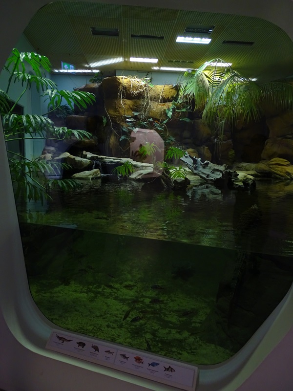 Enclosure for freshwater crocodile and others