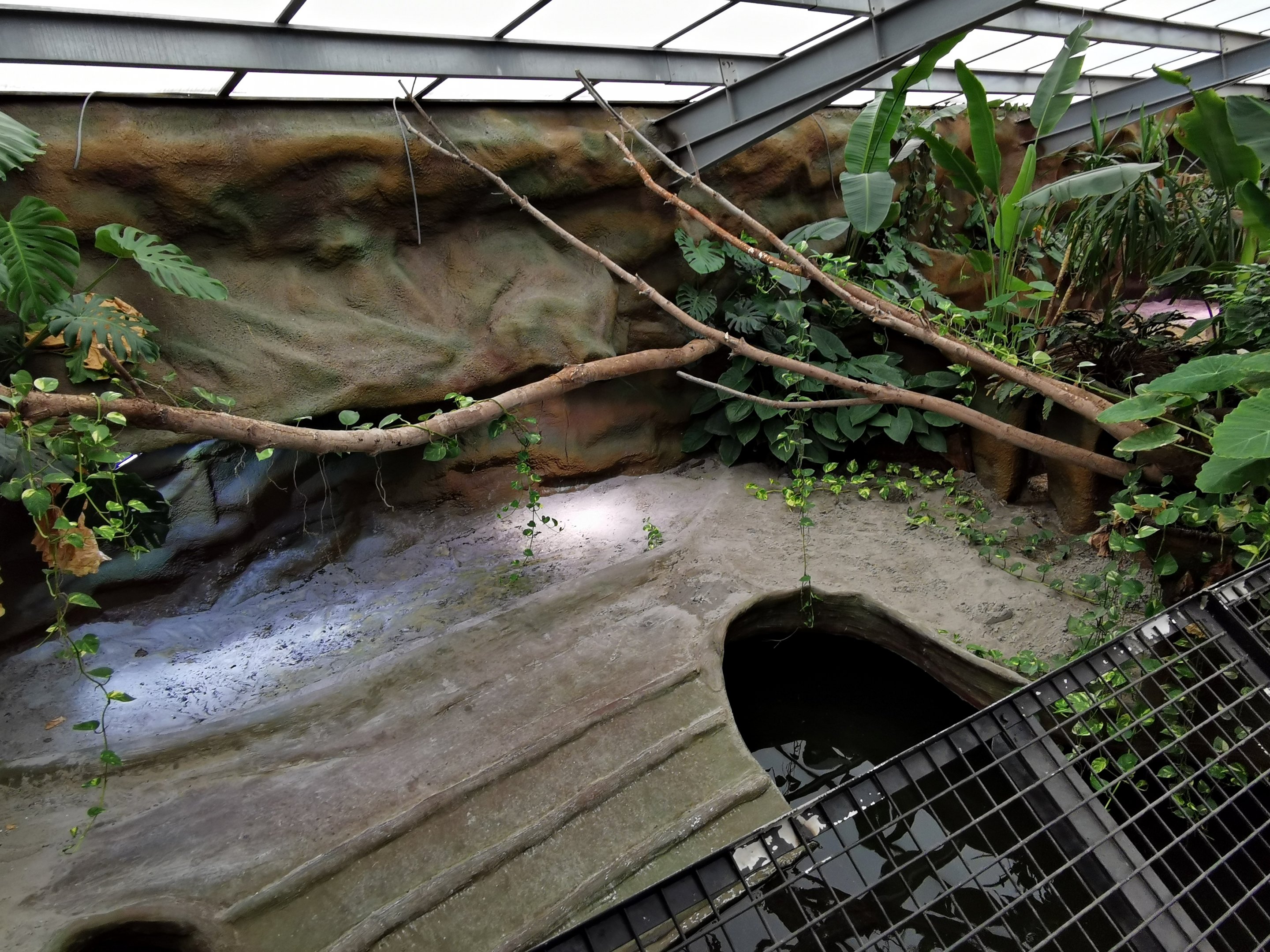 Enclosure for Gharial (Gavialis gangeticus) - Masaguaral hall