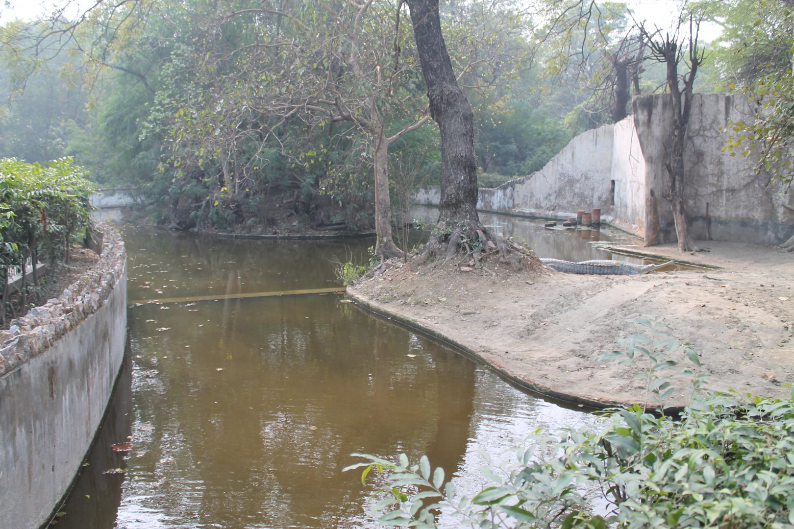 enclosure for Gharials