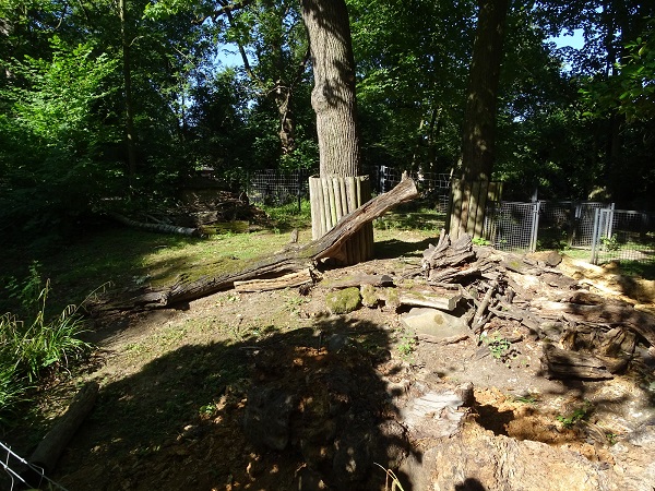 Enclosure for giant anteater (07/22)