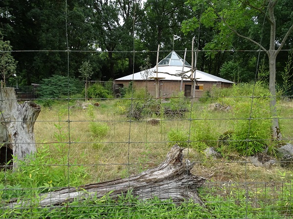 Enclosure for giant anteater and southern pudu (07/22)