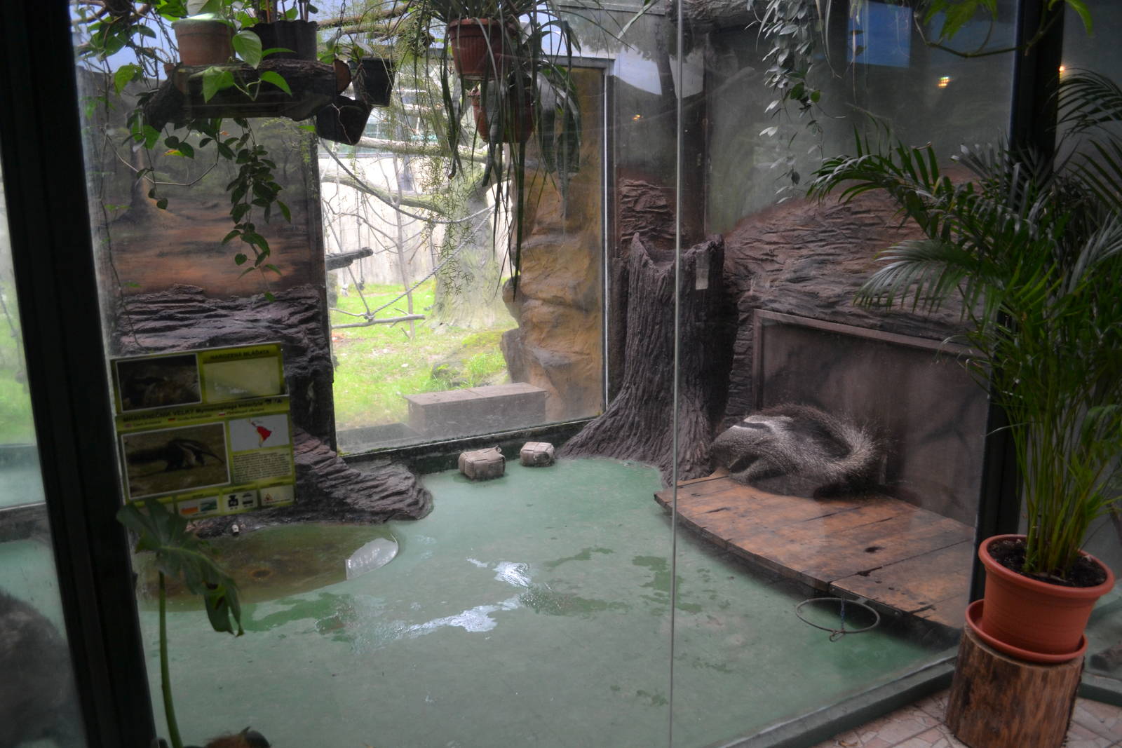 Enclosure for Giant anteaters at Olomouc Zoo