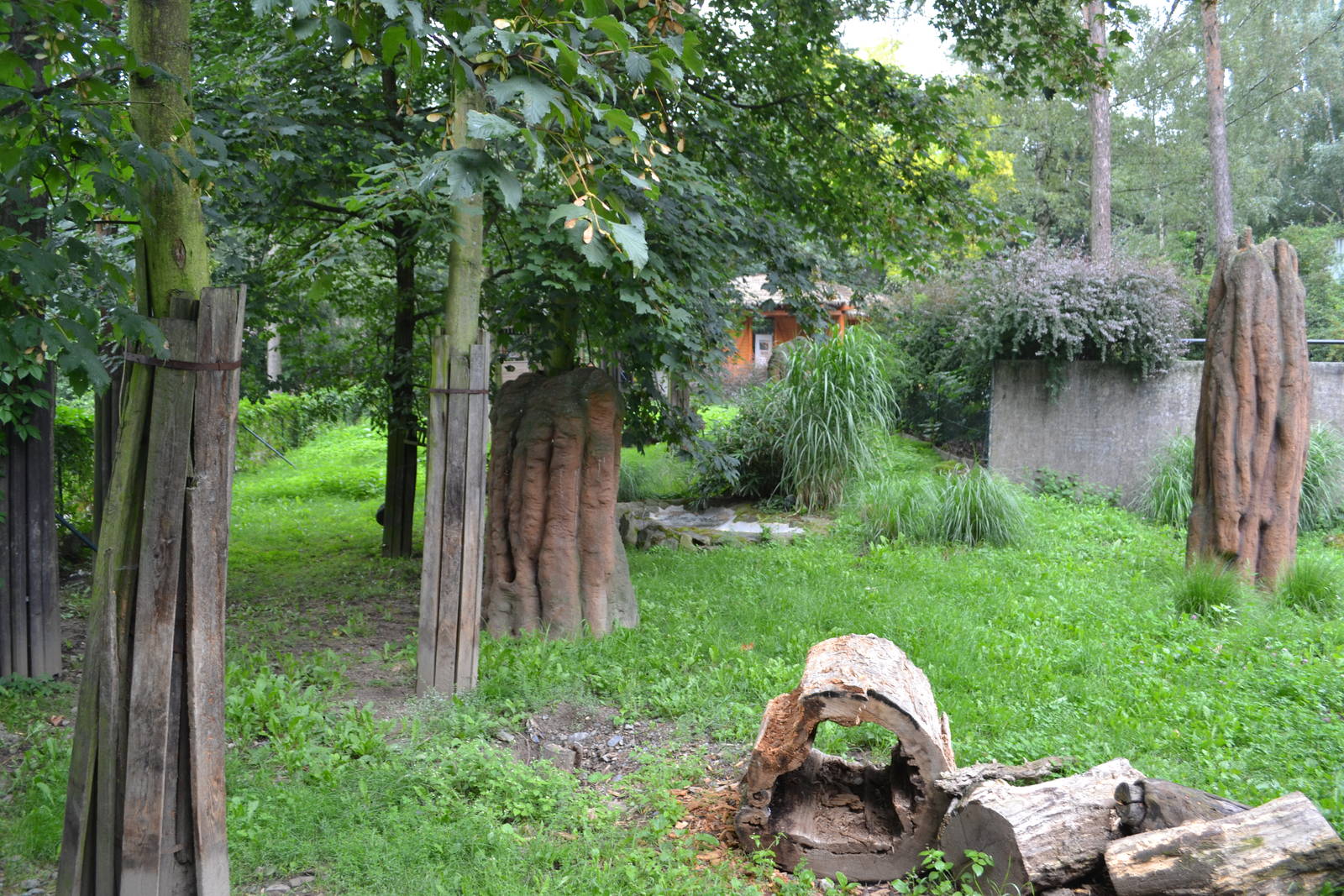 Enclosure for Giant anteaters at Olomouc Zoo
