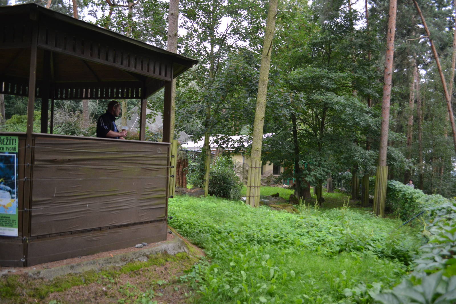 Enclosure for Giant anteaters at Olomouc Zoo
