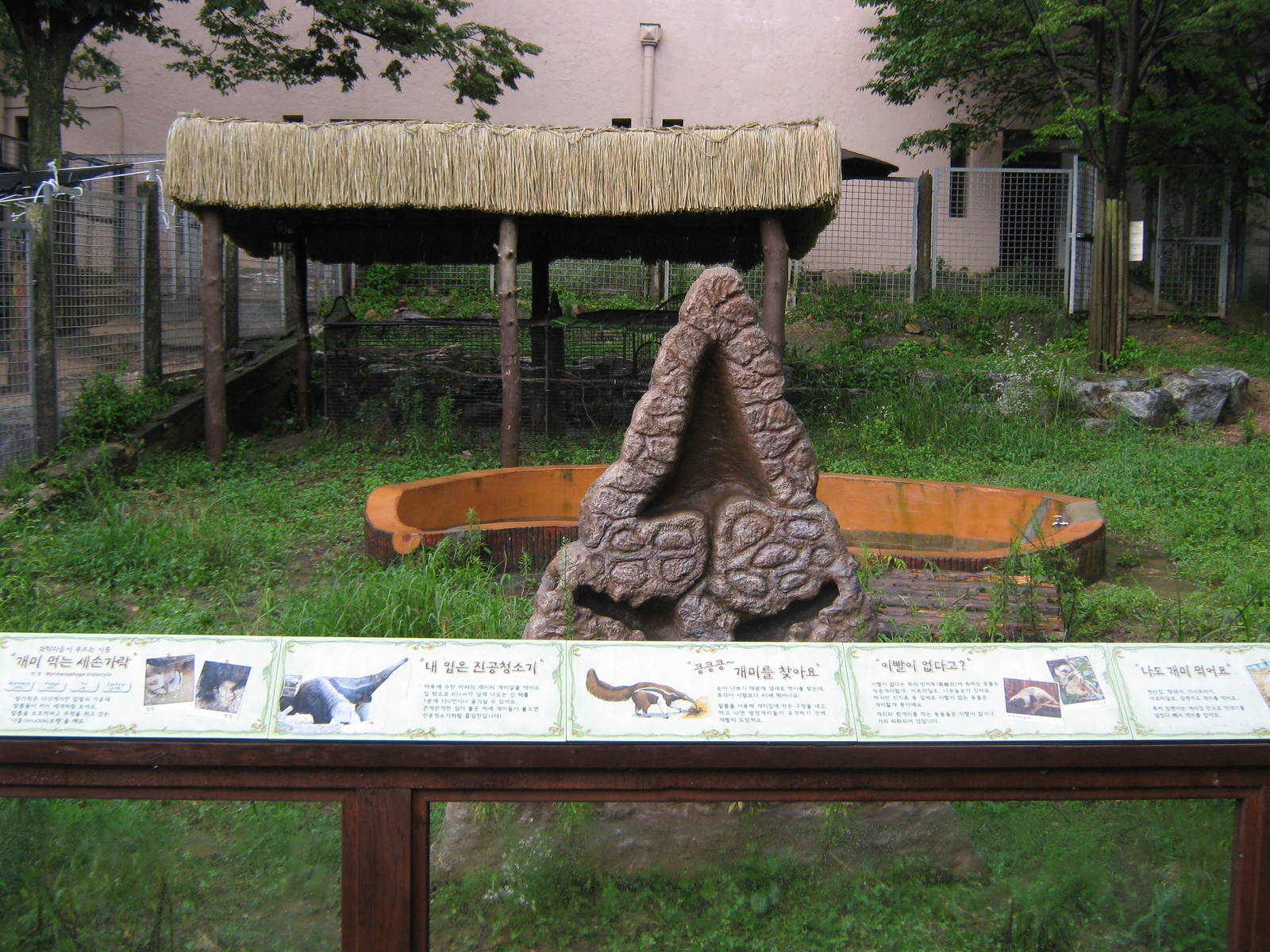 enclosure for giant anteaters