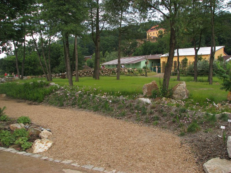 Enclosure for giraffe and greater kudu