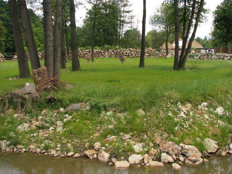 Enclosure for giraffe and greater kudu