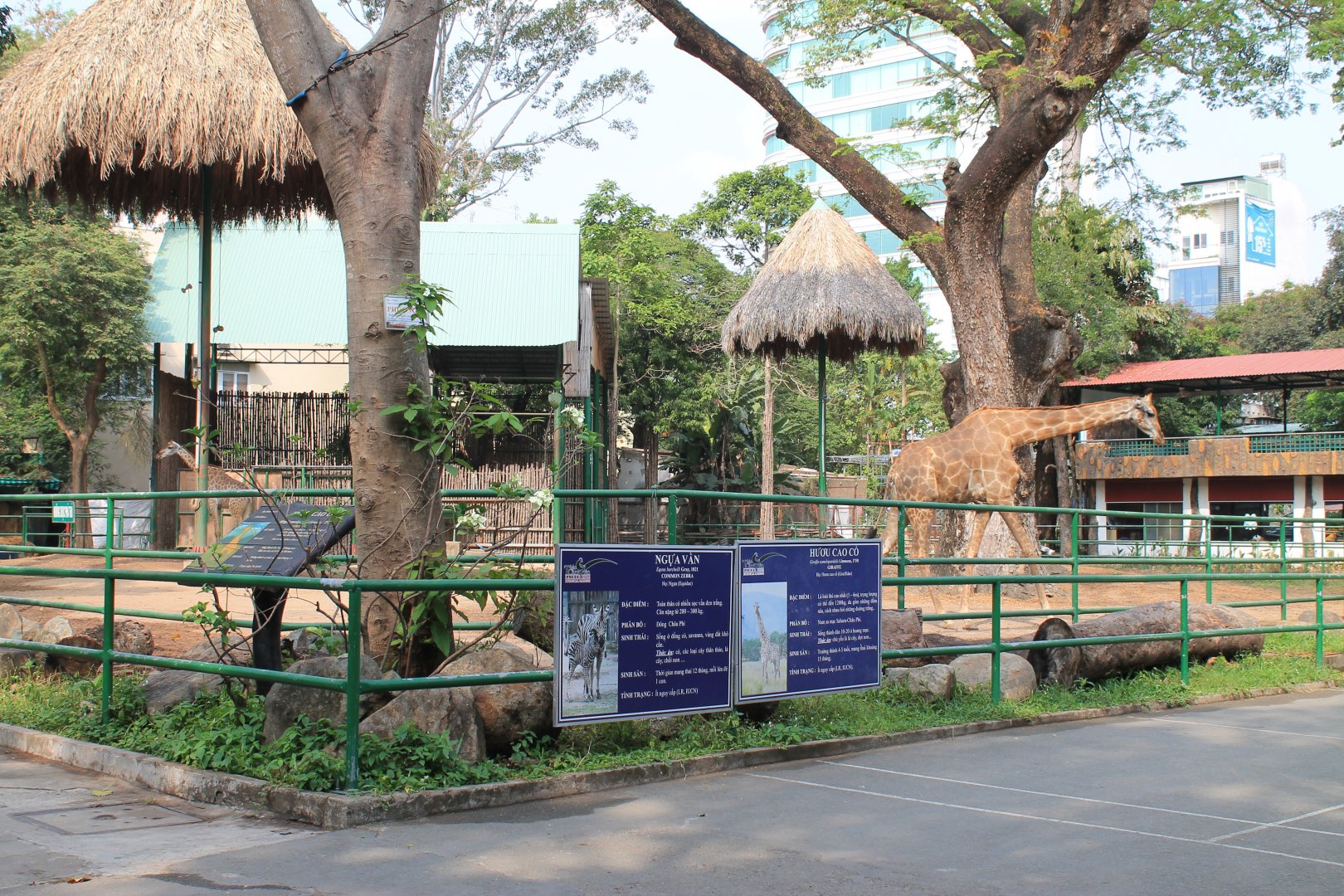 enclosure for giraffe, zebra and ostrich