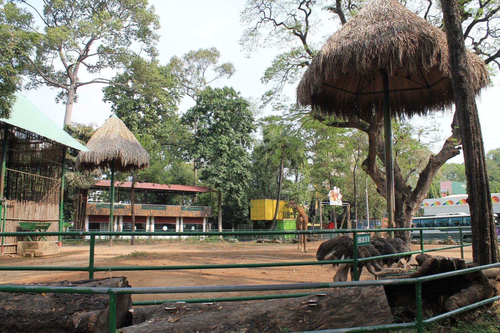 enclosure for giraffe, zebra and ostrich