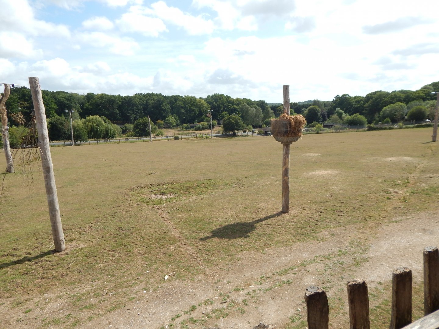 Enclosure for Giraffes, Plains zebras, Roan antelopes 150725