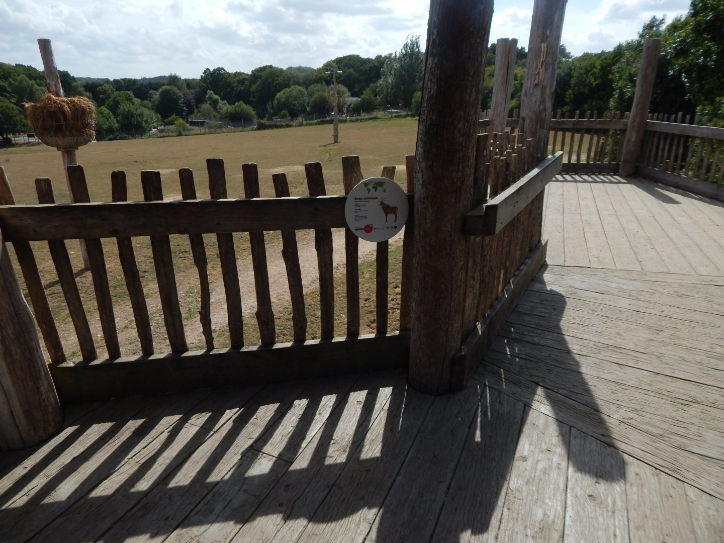 Enclosure for Giraffes, Plains zebras, Roan antelopes 150725