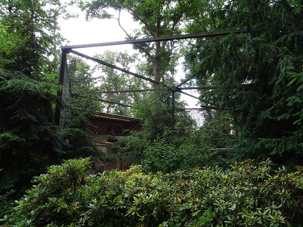Enclosure for golden eagles (07/22)