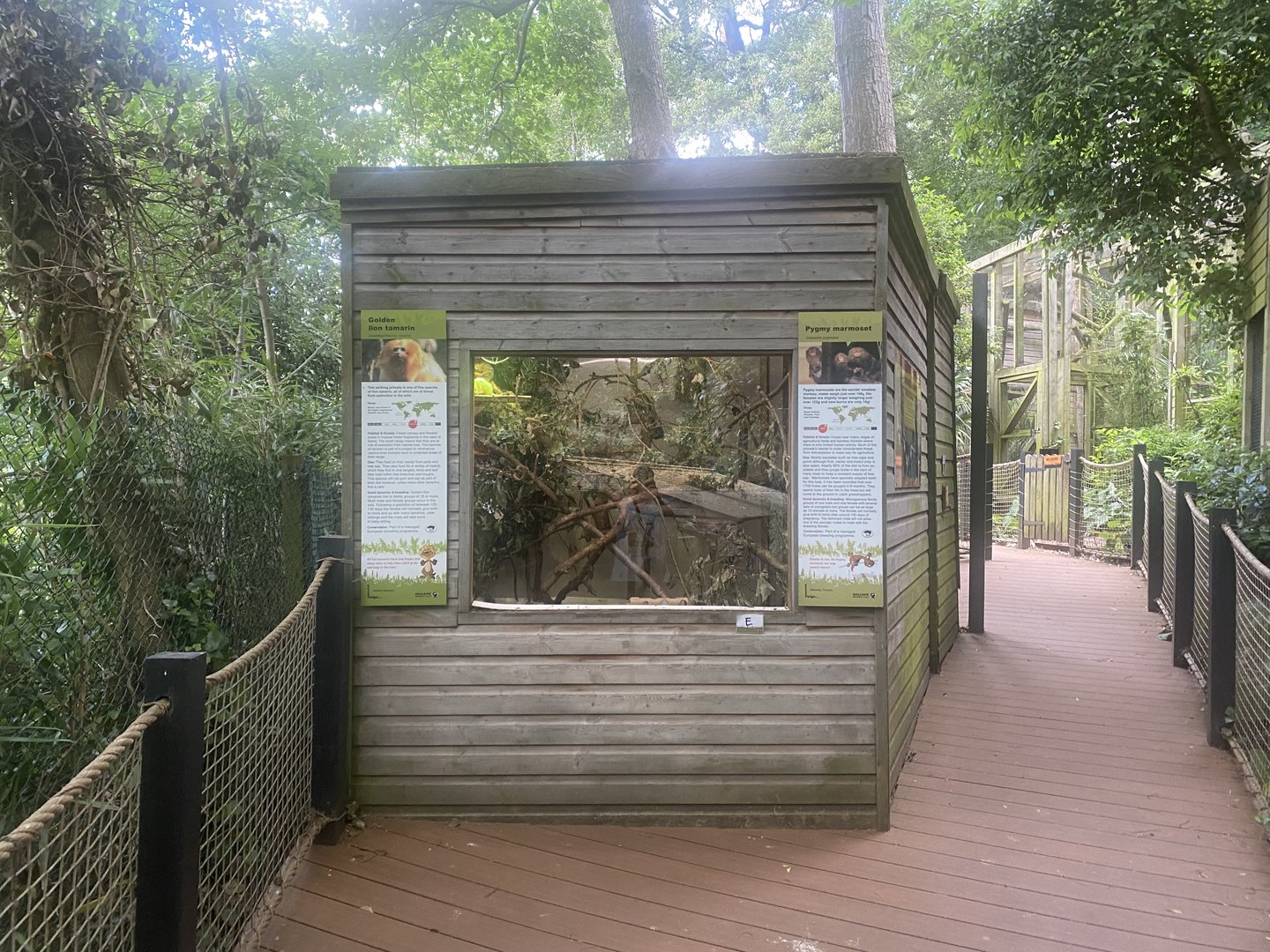 Enclosure for Golden lion tamarin and Pygmy marmoset 250623