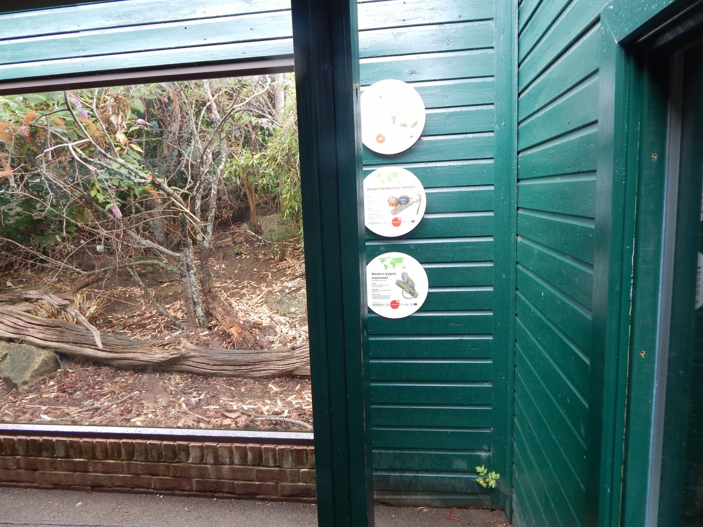 Enclosure for Golden lion tamarin, Pygmy marmoset, Brazilian guinea pig 150725