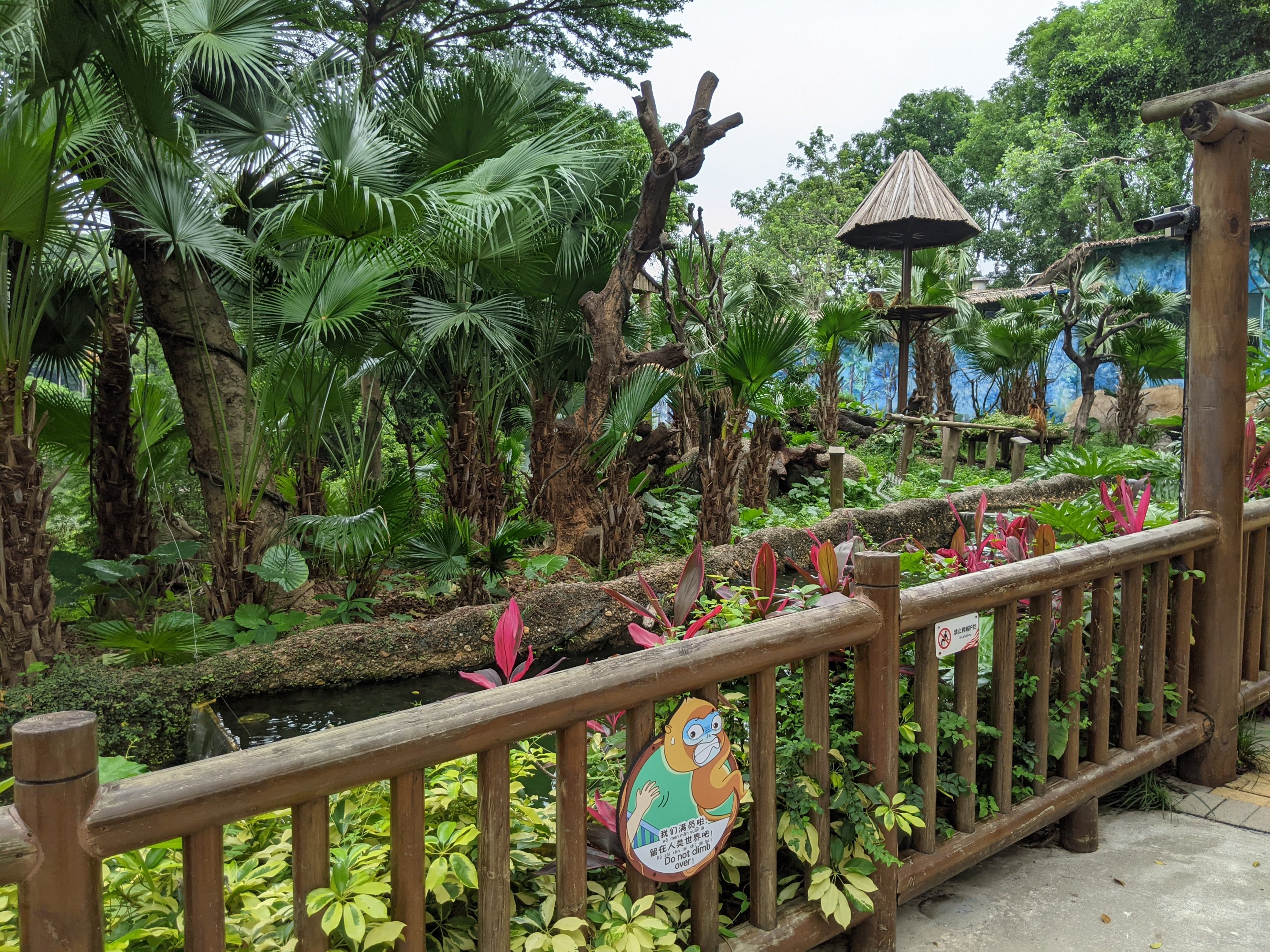 Enclosure for Golden Snubnose Monkeys (Rhinopithecus roxellana)