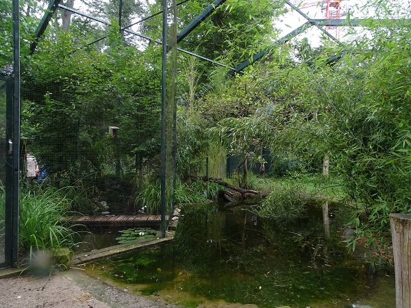 Enclosure for goliath herons (07/22)